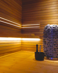 HIVE MINI